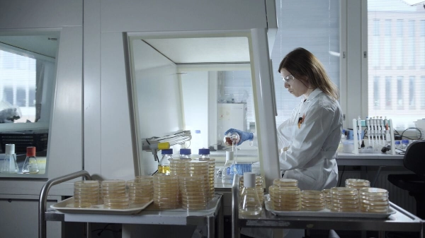 Industries and innovation - Business Finland