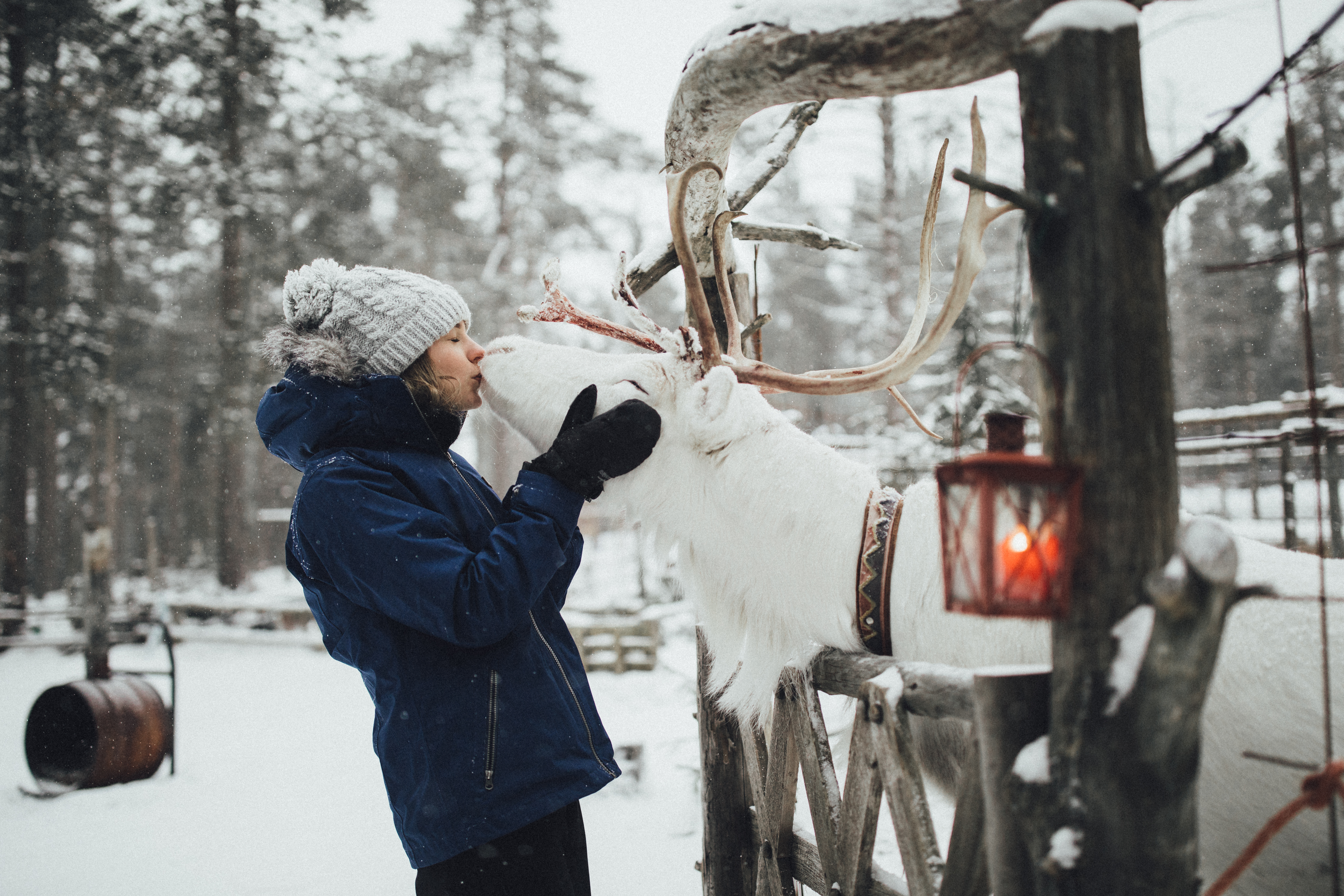 a woman and a white reindeer kissing