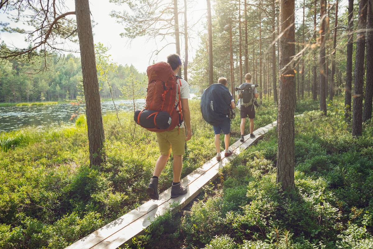 Tips for hiking and walking in Finland